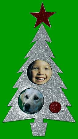 ChristmasTree Silver 450