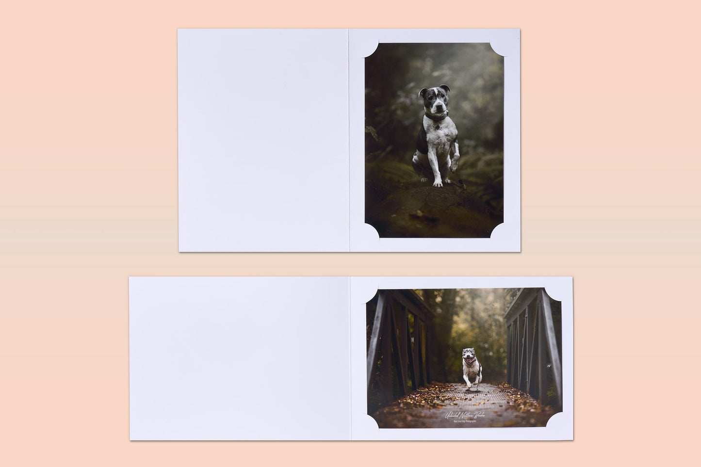 Corner Mount Folders White