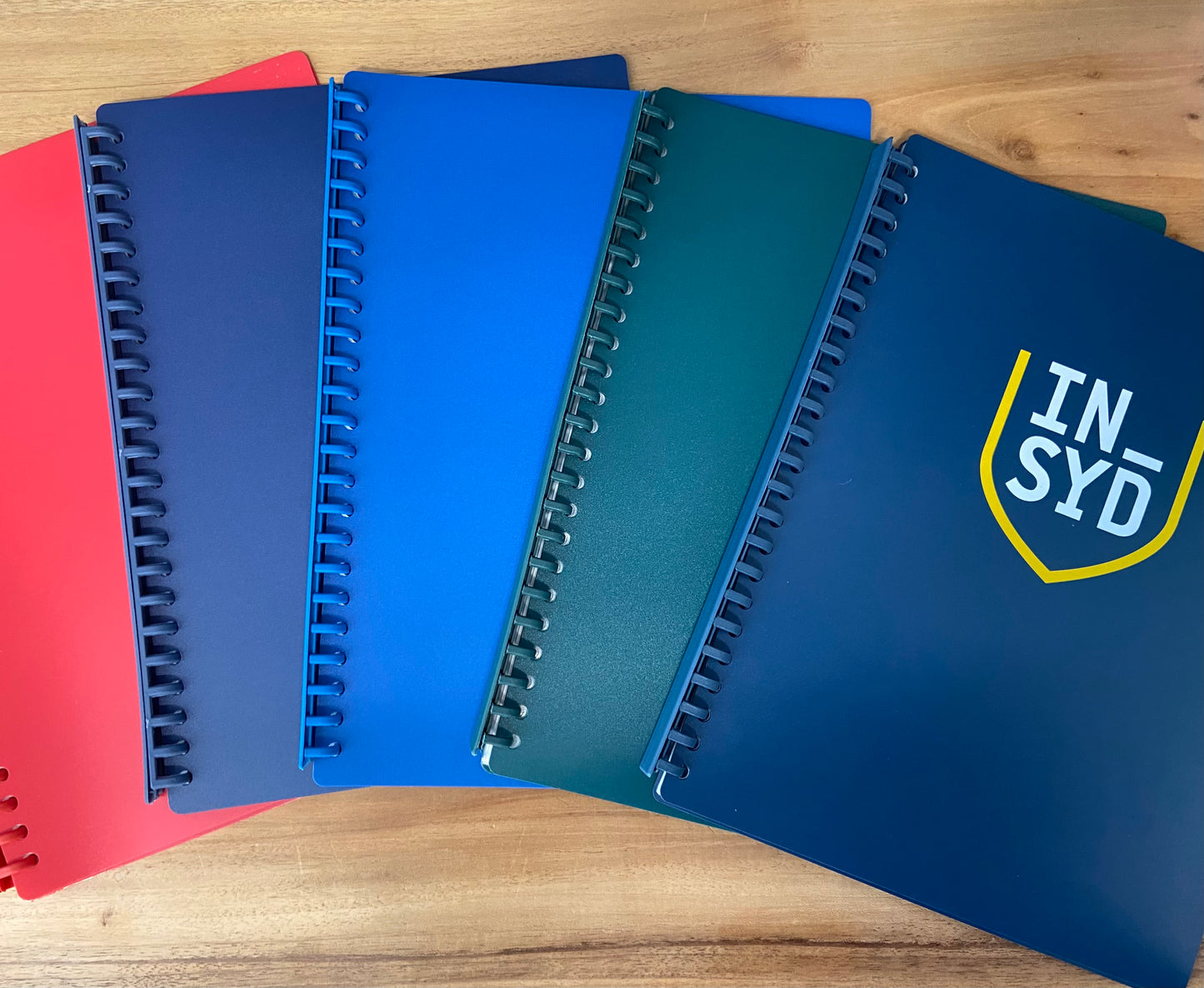 A4 PicPoc Display Book