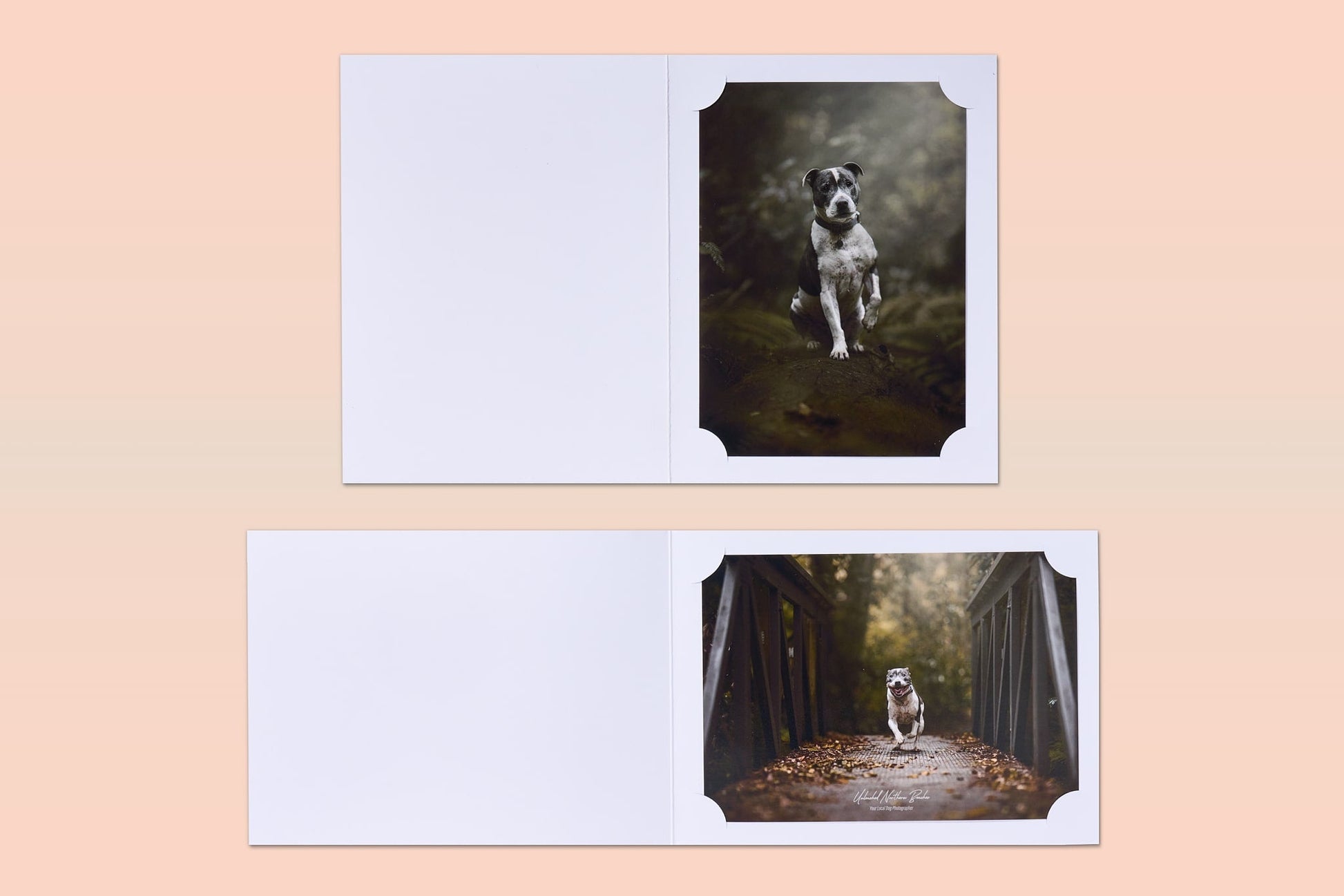 Corner Mount Folders White