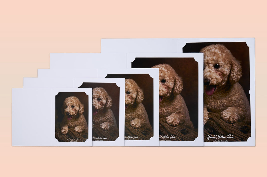 Corner Mount Folders - Matt White – Image Display Creations