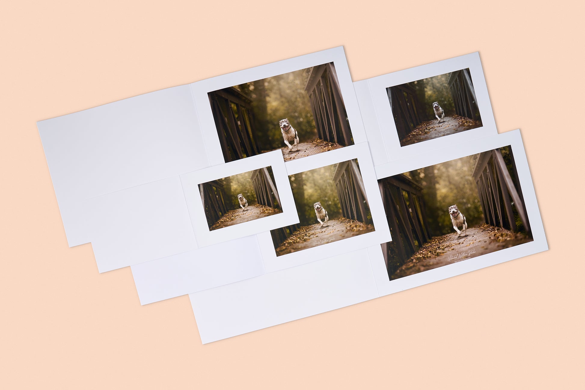 Smooth Matt Folders White Landscape